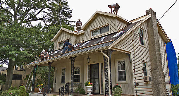Best Roof Gutter Cleaning  in Elm Creek, NE